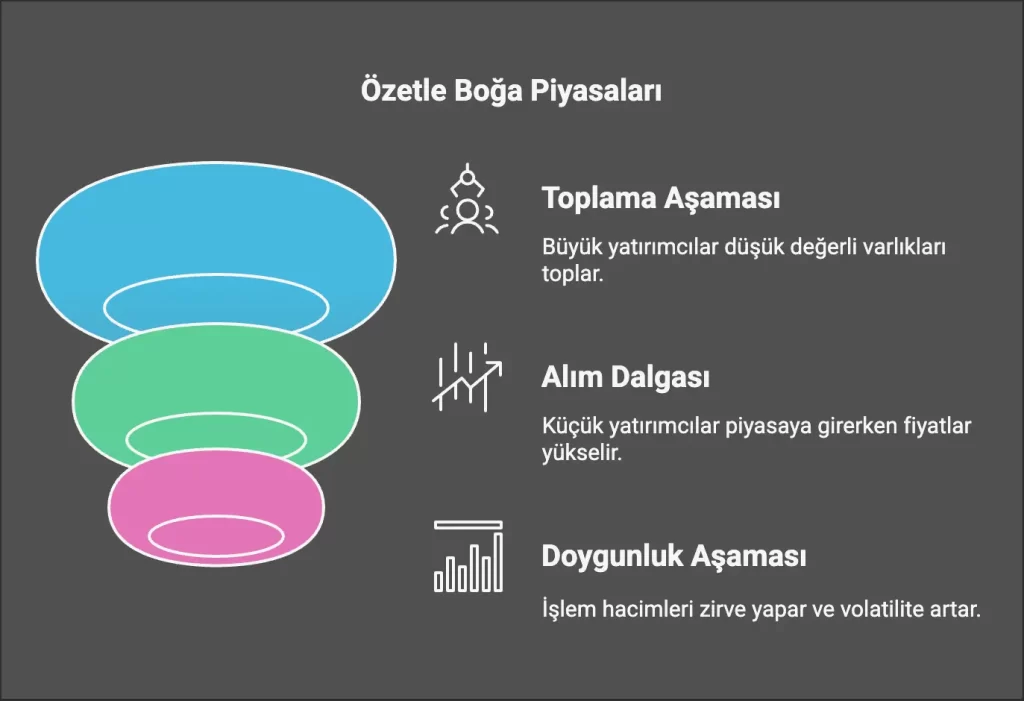 Boğa Piyasası Aşamaları